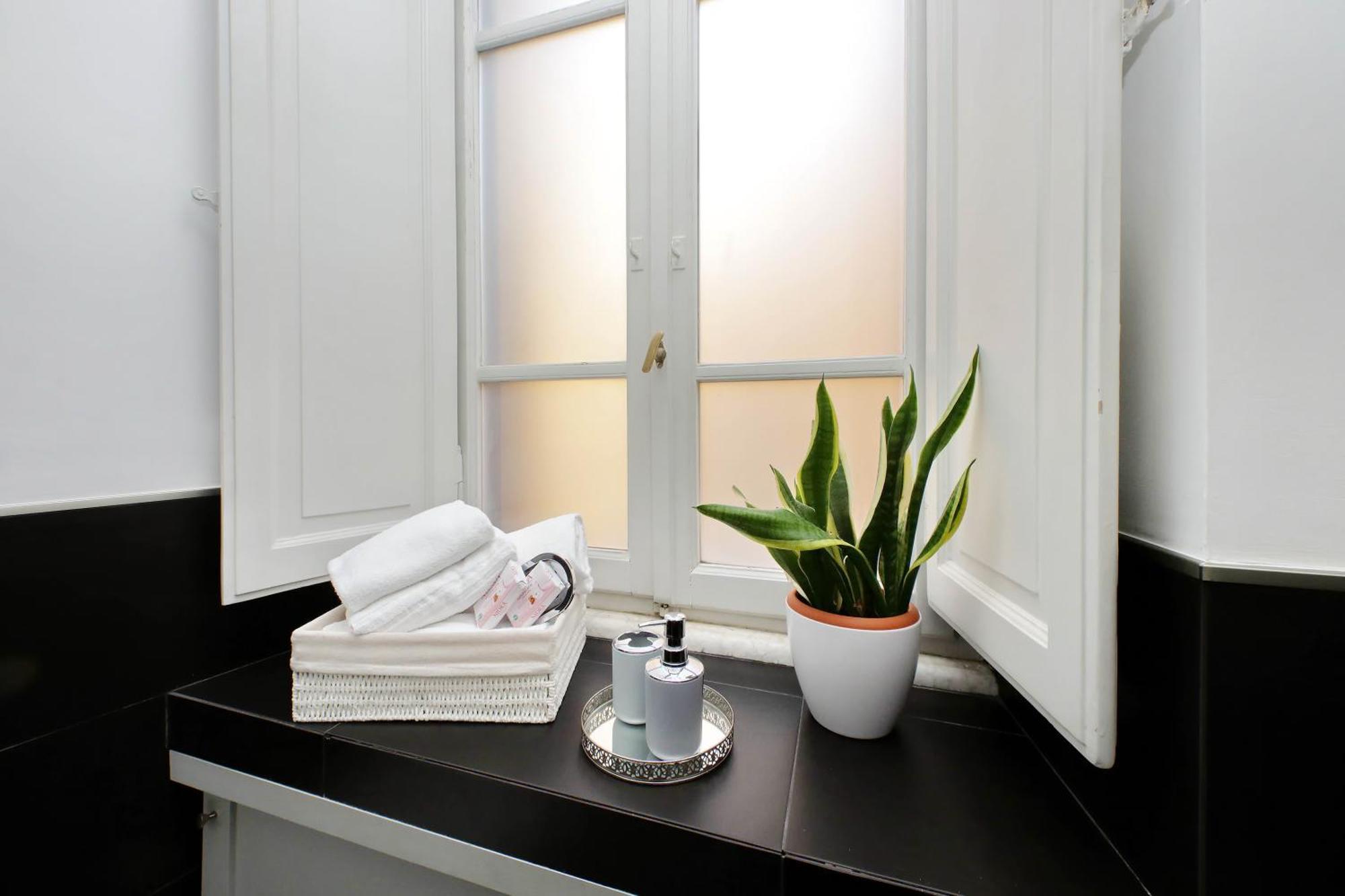 Luxury Vaticano-s'peter Basilica - Netflix Wifi - Aircond Apartment Rome